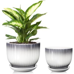 6.7 + 5.5 Inch Ceramic Plant Pots,Planters with Drainage and Saucer,Indoor Pots for Plants,Modern Flower Pots for Home and Office, Gray + White