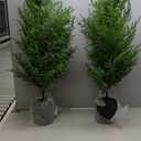 4FT Pre-Lit Artificial Norfolk Pine Christmas Tree  Realistic Potted Tree with 100 LED Lights & 8-Function Battery Box, Pre-Assembled Faux Holiday Dcor for Indoor Use (2)