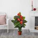 Nearly Natural 3ft. Anthurium Silk Plant (Real Touch), Red