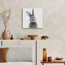 2 x daktenn Bunny Wall Art Lovely Rabbit Posters for Baby Room Easter Artwork Nursery Wall Decor Easter Wall Art Rabbit Pictures Wall Decor Bunny Pictures for Bathroom Bedroom 14x14 Inches