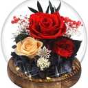 MOKOQI Birthday Gifts for Women Preserved Red Real Rose Flowers in Glass Dome, Forever Rose Valentines Day Gift for Her Mom on Christmas Birthday Flowers for Delivery Prime