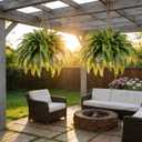 Artificial Ferns for Outdoors & Indoors, 50" Large Fake Ferns with Fruitlet & Vines, 98 Fronds Boston Fern Faux Plants Ideal for Planters Porch Garden Hall Home Decor, Hanging or Potted, UV Resistant