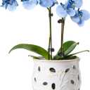 LE TAUCI Ceramic Orchid Pot, 6.5 Inch Orchid Planter with Holes for Repotting, Indoor Flower Plant Pot with Drainage and Saucer, Arctic White