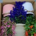 Yoratee 6pcs Artificial Pot Flowers Small Fake Plants Mini Potted Plants for Home Office Tabletop Decoration