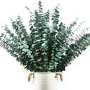 48 Pcs Large Dried Eucalyptus Stems - Natural Eucalyptus Branches for Shower Hanging, 17" Preserved Plants Steam Shower for Women and Men, Relaxation Set, Mother's Day
