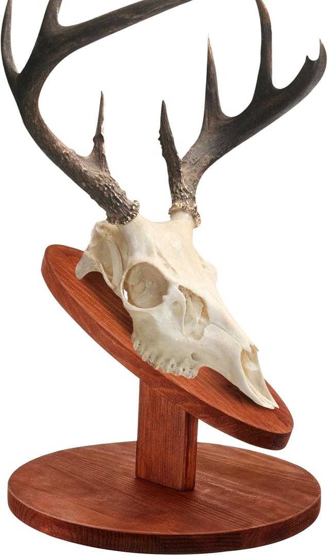 Taiyin Deer Head Mount Kit Solid Pine Skull Display European Taxidermy Mount Skull Hanger Hunting Pedestal Plaque for Bear Boar Wall Table Display