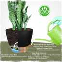 Self-Watering Pots for Indoor Plants 4 Pack, 6/8/10/12 Inch Outdoor Planters with Water Level Indicator & Deep Reservoir, Decorative Flower Pots for Home Decor (Black, 12+10+8+6 Inch)