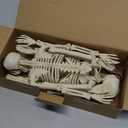 2 Pack Halloween Skeleton Decorations,15.7" Spooky Full Body Mini Skeleton with Movable Posable Bones,Spooky Skeleton for Halloween Party Decor,Yard Graveyard Haunted House Props