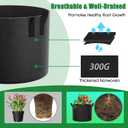 FEED GARDEN 15 Gallon Grow Bags 8 Pack – Heavy Duty 300G Thick Fabric Plant Pots with Reinforced Handles, Breathable Drainage Planters for Tomatoes, Potatoes & Large Vegetables Indoor Outdoor