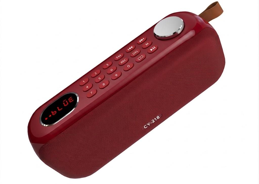 Portable Bluetooth Speaker FM Radio Digital, Support USB/SD Card MP3 Music Player/AUX/REC, Buildin 3000mAh Rechargeable Battery, 10W Powerful Speaker and Earphone Jack for Indoor Outdoor