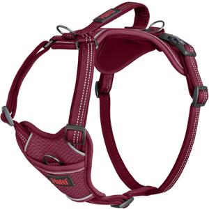 HALTI Anatomy Dog Harness with Handle - Provides Your Dog Freedom of Movement for Comfortable Walking. 3 Leash Attachment Points, Neoprene Padded, Adjustable, and Reflective (Size Medium, Magenta)
