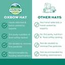 Oxbow Western Timothy Hay for Small Pets  All-Natural Grass Hay for Rabbits, Guinea Pigs, and Chinchillas  High Fiber for Digestive Health and Dental Support  40 oz Bag (EXP 05/14/26)