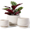 LE TAUCI Plant Pots, 4.1+5.1+6.5 inch, Set of 3, Ceramic Planters with Drainage Hole and Saucer, Indoor Flower Pot with Hole Mesh Pad, Gifts for Mom, Reactive Glaze Beige