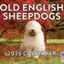 Old English Sheepdog Calendar 2026 Monthly Wall Calender 12 Month | American Made In The USA