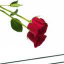 Ruomeng Full Length Wall Mirror Tiles - 12" x 10" x 8Pcs Frameless Full Body Mirror Tiles Wall Mounted Mirror for Home Gym Vanity Bedroom, Living Room