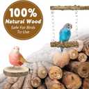 7PCS Bird Perches, Coconut Nest Hut with Ladder, Bird Swing and Stand for Small and Medium-Sized Parakeets, Conures and Budgies, Parrot Cockatiels Budgie Conure Finches Lovebirds