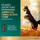 VetriScience Kidney Health Chewable Tablets, Renal Essentials Supplement for Dogs, Urinary Tract and Kidney Support with Mushroom, Astragalus Root, Nettle Seed and Herbs, Smoke, 60 Count