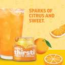 Ninja Thirsti Flavored Water Drops, FRUITI CHILL Orange, Bold Fruit Flavor, Sparkling or Still, Zero Calories, Zero Sugar, Makes 17, 12oz drinks, 3 Pack, WCFOTNGAM