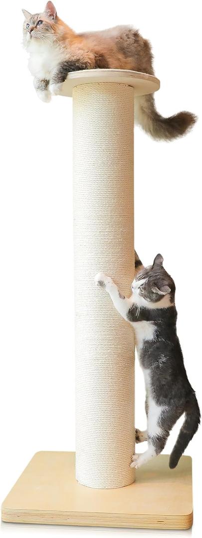 50" Tall Cat Scratching Post, Extra-Large Cat Scratch Post for Biggest Cats (Maine Coon), 7.3 Thick Post, 36lbs Weight, Solid Wood Base & Natural Sisal Rope