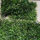 Artificial Grass Wall Backdrop Panels,16 X 12 in 12P(16 sqft) UV-Anti Greenery Boxwood Panels for Indoor Outdoor Green Wall Decor & Ivy Fence Covering Privacy
