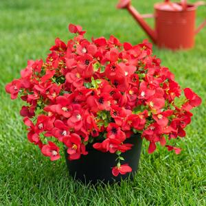 Artificial Flowers for Outdoor, UV Resistant Fake Silk Pansies Flowers, Realistic Faux Plants for Outside Indoor Porch Patio Window Box Planter Home Decor (16, Red)