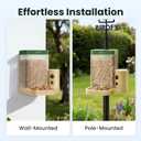 Birdfy Smart Bird Feeder with Camera for Rookie, Camera Bird Feeder Dual Night Vision, AI Recognition IP66 Waterproof for BirdLovers, 1.3L Capacity