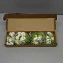 Letjolt Artificial Ranunculus Flower White Silk Flowers Faux DIY Bouquet for Wedding Engagement Centerpieces Arrangements Bridal Shower Decorations Home Decor, White