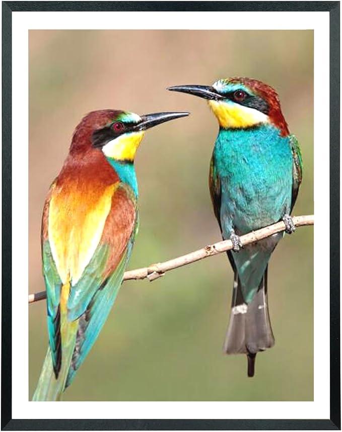 Mxtallup 19x24 Picture Frames Solid wood,Display Pictures 17x22 Inch With Mat or 19x24 Inch Without Mat, Poster Frames 17x22 in Photo Frames Wood Black (T22B1924W1722)