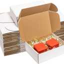 Shipping Boxes 12x9x4 Inches 25 Pack Corrugated Cardboard Mailing Boxes for Small Business - Medium White Literature Mailer Packaging Supplies