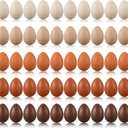 Beeveer 50 Pcs Plastic Easter Eggs Bulk for Easter Hunt 1.6 x 2.4 Inch Colorful Hanging Plastic Eggs for Basket Fillers Party Favor DIY Crafts Decoration(Brown Series)