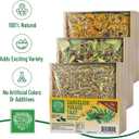 Small Pet Select Forage Tray Bundle, 3 Pack of Foraging Trays for Rabbit, Guinea Pig, Hamster or Bunny - Natural Treats, Dandelion, Flower, Herb Mix 2.5oz Each