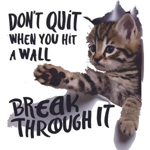 Don't Quit When You Hit A Wall Break Through It Cute Cat Lover Wall Decal Wall Dcor Vinyl Sticker Size: 26 x 26