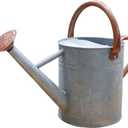 Metal Watering Can, One Gallon Watering Cans Stainless Steel for Outdoor Indoor Garden Plants Watering (Zinc 1 Gallon)