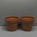 Melphoe Plant Pots Indoor with Drainage & Saucer, 2Pack 10 inch Flower Pots Outdoor Planters for Indoor Plants Garden Home Decor Cactus Succulent, Rigid Plastic (Imitation-Terracotta) Vine-Embossed