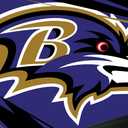 NORTHWEST The Company NFL Baltimore Ravens Washable Rug, 36" x 60", Shredder, Team Colors