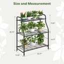 Simple Trending Plant Stand Indoor Outdoor, Plant Shelf for Multiple Pots Metal, 3 Tiers Large Plant Holder for Living Room Garden Balcony