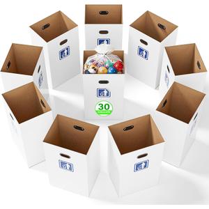 10 Pack Disposable Trash Cans, 30 Gallon Collapsible Pop Up Trash Can