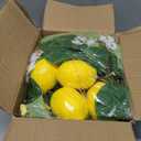 2 Pcs Artificial Lemon Flower Garland Vine, 14 Ft Fake Yellow Lemon Vines Silk Flowers Hanging Floral Garlands Decoration for Room Wall, Flower Themed Party, Wedding Supplies