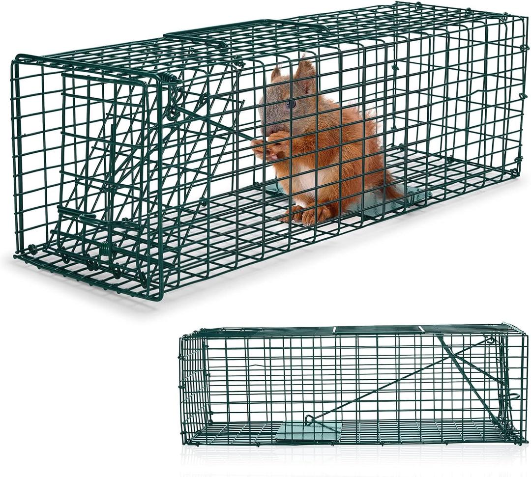 Qualirey 2 Pcs Humane Squirrel Trap Heavy Duty Live Animal Chipmunk Catch and Release Rat Trap for Outdoor Small Animals Mouse Raccoon Stray Cat Rodent Weasels(Green)