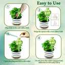 4 Pack Self Watering Planter Insert,Plant Watering Devices Plant Watering Globes for Indoor Plants,Easy Plants Live Houseplants Self Watering Plant Accessories Indoor Items for Plant Lovers - Green