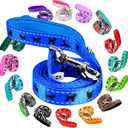 EcoBark Dog Leash - Soft & Reflective Comfort Training Leashes with Padded Handle - Strong Durable Heavy Duty - Training and Pulling for Small, Medium or Large Dogs (Royal Blue) (5 ft x 1 in - Standard Width)