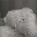 Fluffy Faux Fur Rug White Sheepskin Area Rug,4x6 Ft Ultra Soft Shaggy Plush Rug for Bedroom Bedside Living Room Nursery Kids Room