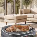 OhGeni Orthopedic Dog Couch Large Sized Pet Beds for Mothers Gifts with Comfort Foam Support, Soft Indestructible Fabric, Machine Washable Waterproof Removable Cover, 35-Inch (Gray) (Large (35 x 28 x 6 Inch), 01-Gray)
