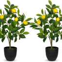 2Ft Artificial Lemon Trees, 2 Packs Large Artificial Plants Indoor with Black Pots Faux Potted Citrus Trees Fake Floor Plants Lemon Decorations for Home Living Room Office, Bedroom Table, Desk