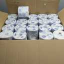 Scott Professional 100% Recycled Fiber Standard Roll Bulk Toilet Paper (13217), 2-Ply, Elevated Design, White, Individually Wrapped (80 Rolls of 473 Sheets, 37,840 Sheet Total)