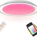 LED Ceiling Light with Bluetooth Speaker | 20 inch,60W,1-PACK,Color Changing Dimmable,Compatible with Alexa,Google Home,Semi-flush mount,for Living Room,Bedroom,Kitchen