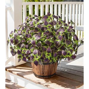 Florisso Artificial Greenery Plants Outdoor, 5 Pcs Faux Coleus Plants UV Resistant Silk Plants with Stems, Fake Plants for Outside Garden Patio Hanging Planter Pathway Front Porch Decoration(Brown)