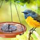 AISITIN Hanging Bird Bath Set with Solar Fountain, Hanging Solar Powered Water Fountain Outdoor 15" Bird Bath Bowl with Three Steps for Bird Bath, Feeder, Drinking, Garden, Patio Lawn and Backyard