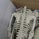 5.4Ft & 3Ft Skeleton for Halloween Decoration