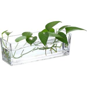 PATIKIL Rectangular Glass Vase 10x4x4 Inch, 1 Pcs Clear Planter Terrarium for Wedding
